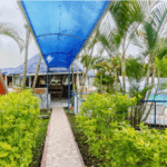 alojamiento mesitas del colegio sary house by anne spa